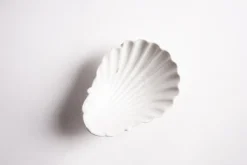 Piattino Conchiglia Ginori '800